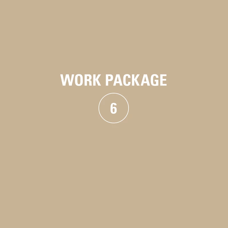 Preview of Work Package 6
