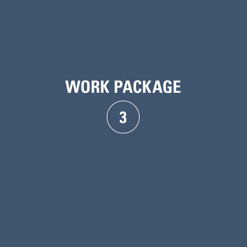 Preview of Work Package 3