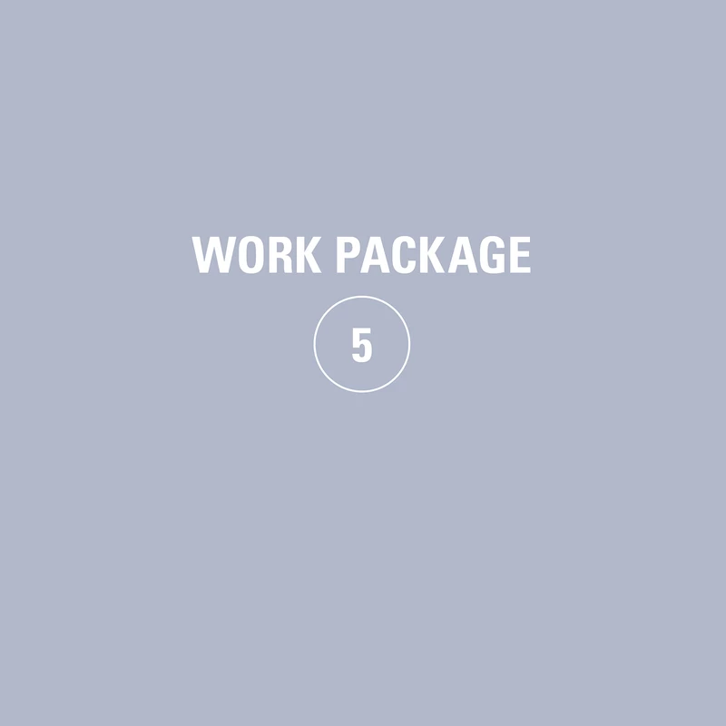 Preview of Work Package 5